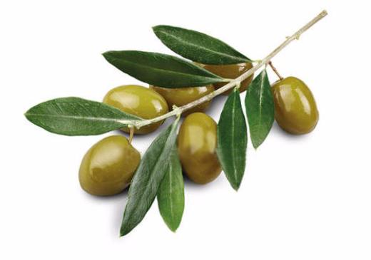 Различия между спелыми и недозрелыми оливками