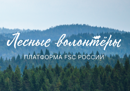Новый проект FSC России — платформа «Лесные волонтёры»: объединяем людей, чтобы сохранить леса!