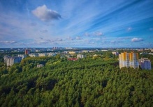 Новый законопроект угрожает лесам вокруг городов России