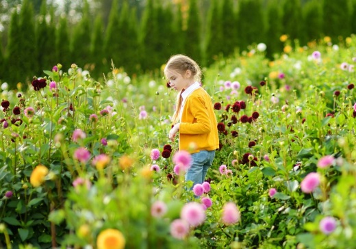 Весенний поллиноз: как распознать и облегчить состояние при аллергии на пыльцу